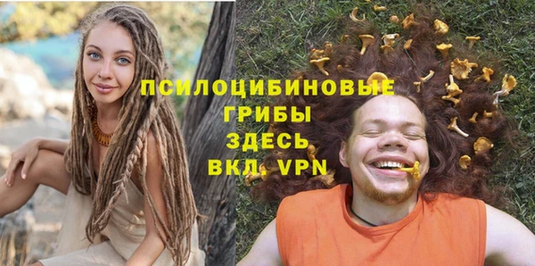 шишки Богданович