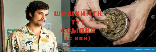 тгк Богородск