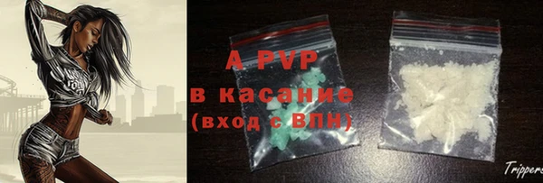 шишки Богданович