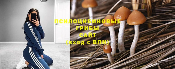 тгк Богородск