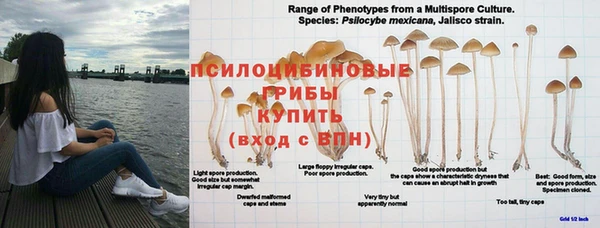мдма Богородицк