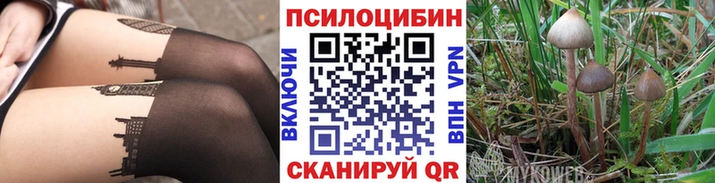 Галлюциногенные грибы мухоморы  Купить где  Новохопёрск 